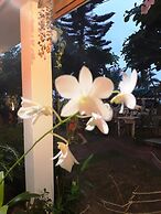 The Sea Garden House