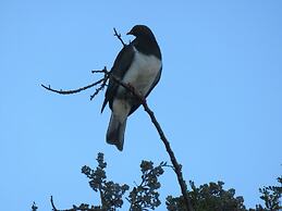 Kanuka Ridge Lodge and Backpackers