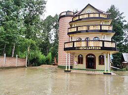 Ziro Palace Inn