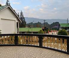 Ziro Palace Inn
