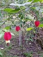 Le Stanze di Villa Labruto