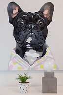 Perfectly Located Apt in Plateau