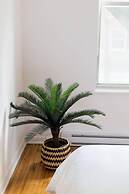 Live Like a Local in Le Plateau