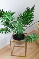 Stylish & Unique 3 Bdr Flat With Parking!