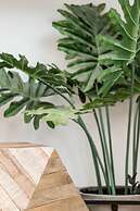 Exquisite Modern Condo in Little Italy