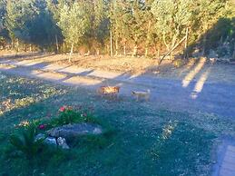 Agriturismo Sogno Latino