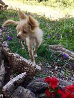 Agriturismo Sogno Latino