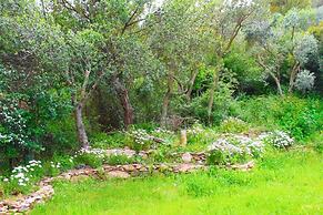 Agriturismo Sogno Latino