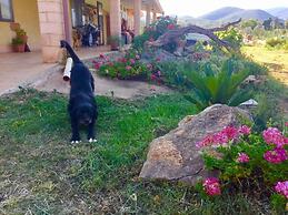 Agriturismo Sogno Latino