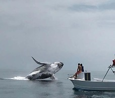 Hostel Marisol Playa Samara