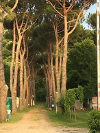 Camping Amalasunta