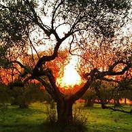 Camping Amalasunta
