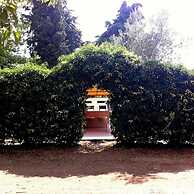Camping Amalasunta