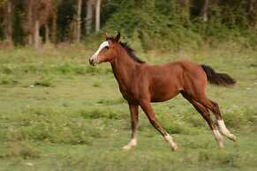 Hacienda Santa Clara