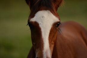 Hacienda Santa Clara