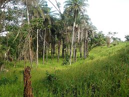 Bob Fishing Club Bijagos