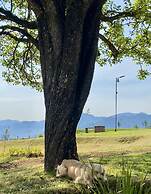 Cabañas en Huerta La Misión