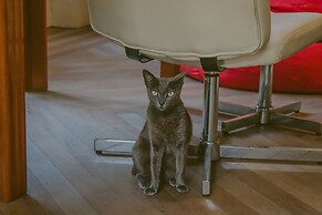 Vila Santa Eulália Hostel