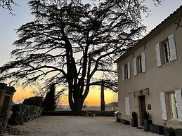 Le Mas aux cedres