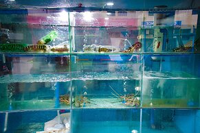 ERUS SUITES HOTEL BORACAY