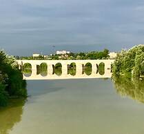 Patio de la Plateria