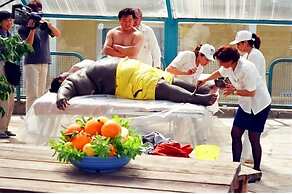 Thermemaris Thermal & Spa Resort