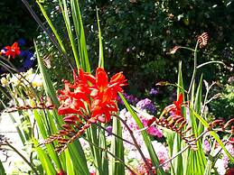 Apartments Fröhling