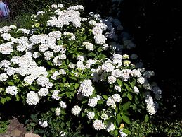 Apartments Fröhling