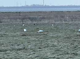 Apartments Fröhling