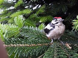 Apartments Fröhling