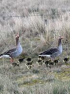 Apartments Fröhling