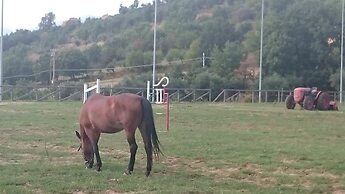 Agriturismo Fonte di Maroglio