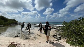 Hakuna Matata Bonaire