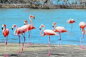 Hakuna Matata Bonaire