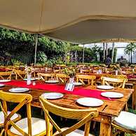 Residencia Jardin Real