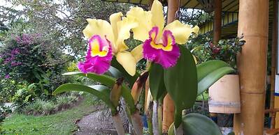 Finca Hotel El Barranco