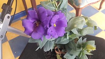 Finca Hotel El Barranco