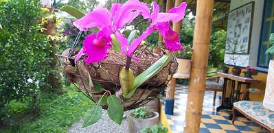 Finca Hotel El Barranco