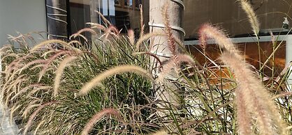 Orussey One Boutique