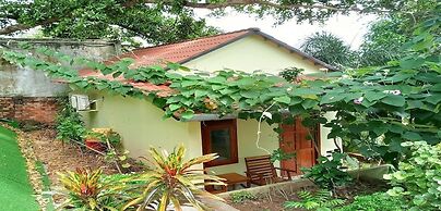 Eco Hill Bungalow