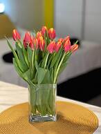 Apartments Noa Old Town