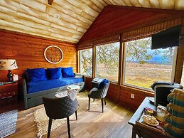 The Alexander at Creek Road