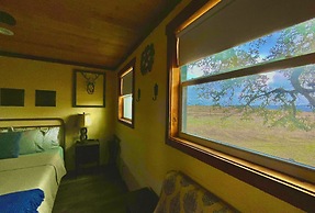 The Alexander at Creek Road