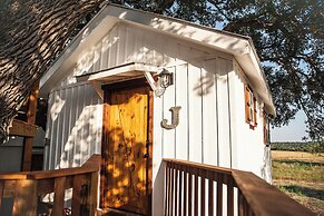 The Alexander at Creek Road