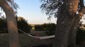 The Alexander at Creek Road