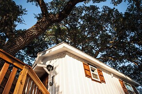 The Alexander at Creek Road