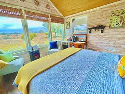 The Alexander at Creek Road