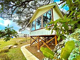 The Alexander at Creek Road