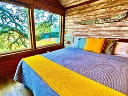 The Alexander at Creek Road