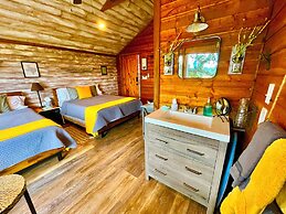 The Alexander at Creek Road